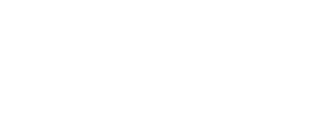 Pedro Netto
